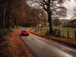 Закрытие сезона осенних путешествий: куда уходит золото листвы