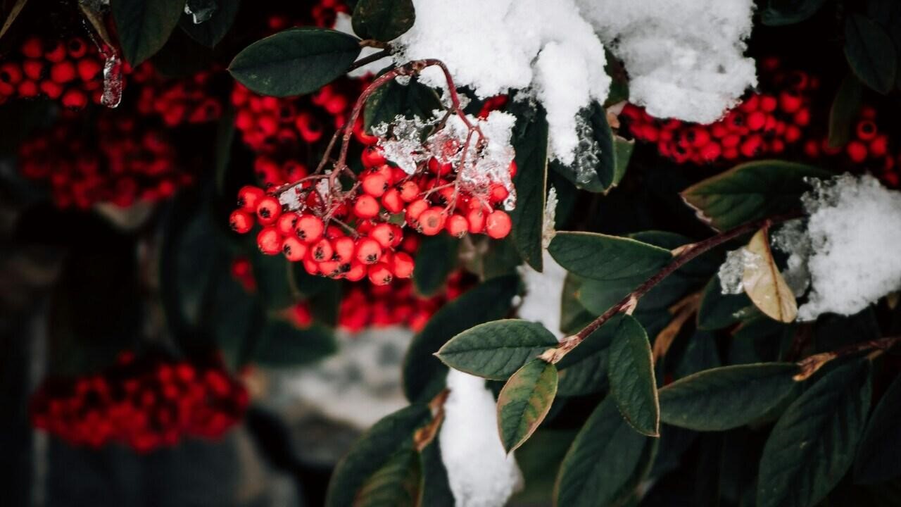 Фестивали ноября 2025. Зима начинается с Якутии